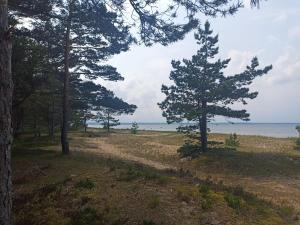 Spacious Apartment in Loksa Near The Sea