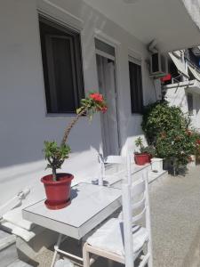 Teuta Apartment