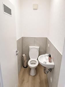 Zentrumsnahe Wohnung in Traunstein mit Dachterasse