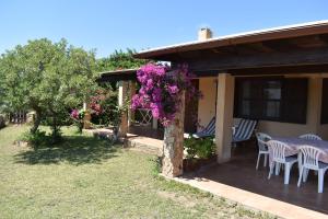 Villa Ventura, Chia