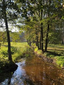 Pauze silent nature retreat