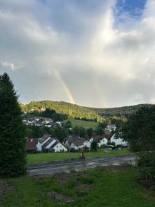 Elsas Waldnest-Nähe Fichtelsee