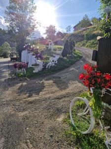 Pensiunea Cabana Viselor ,Apuseni