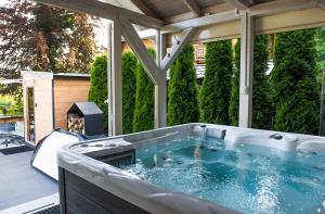 Mountain Spring- Apartamenty Premium 4-8 os z jacuzzi, sauną i basenem w cenie - widok na góry