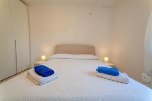 Domus Blu