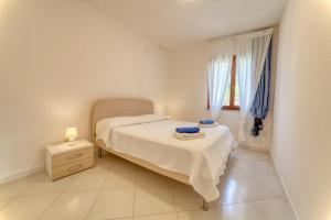 Domus Blu