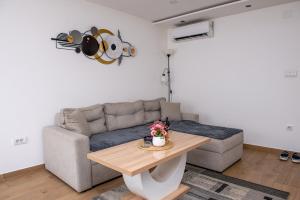 Apartman Živković