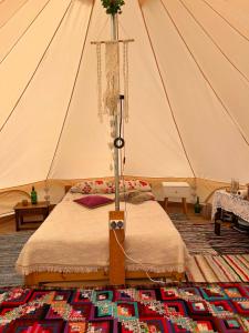 4 Glamping Adventure - tent with lake view