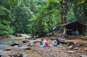 Green View Homestay & Jungle Trekking, Book Your Jungle Trek & Stay With Us