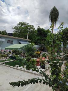 Haven Garden Suite