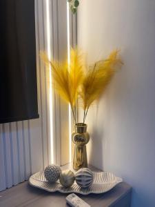 Mesatierra Cozy Studio