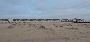 AlSeef 161