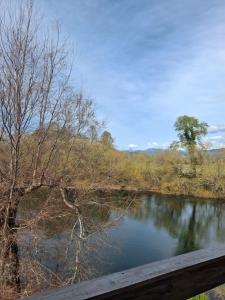 El remanzo del río