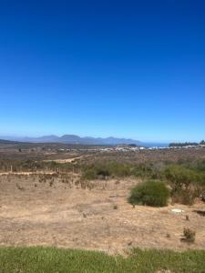 La Chagualita