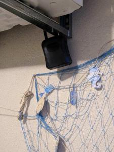 Flip-Flop Nest