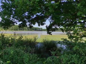 Auszeit in der Natur