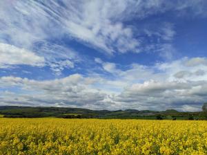 Auszeit in der Natur