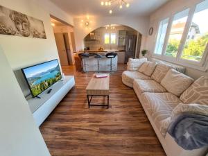 Large 3 room apartment with garden, parking Annecy