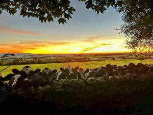 Rowan retreat,Renwick, Penrith,CA10 1LA