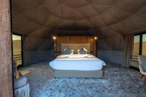 The space domes desert camp