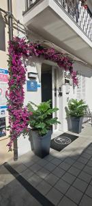 Il Vico del Greco B&B