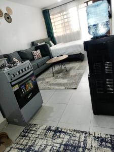 Affordable Cozy studio in Kasarani Seasons, Nairobi