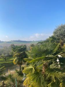 Monviso view & garden, close to Turin