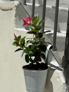 Casetta nel cortile
