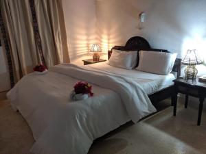 Nelion Villas