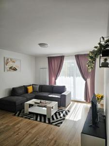 Coresi Apartament Sunflower
