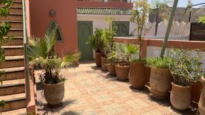 Riad Al Warda