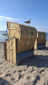 FeWo Rose 52 Travemünde