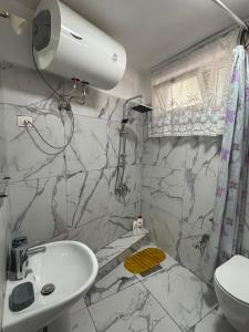 Quiet lake house in the heart of Tirana