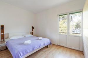 Apartman Viola 1