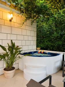 Frenchie suite