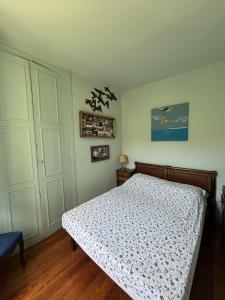 Studio Galfer 55