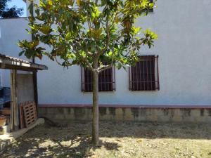 Casa Vacanza Renato 2
