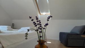 Apartamenty TAFLA nad Jeziorem Czorsztyńskim