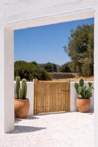 Masseria Guadalupe, The Mascienda