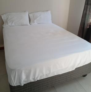 Ms guest place Nata