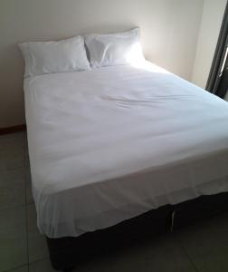 Ms guest place Nata