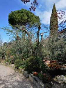 Via dalla matta folla a pochi minuti dal centro