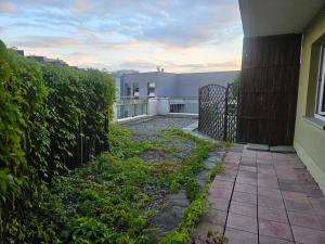Apartament w centrum miasta