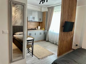 Sofia Residence Studio Cetate