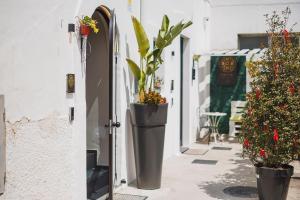 Harmonies BnB - Luxury Suites & Family Room Bari
