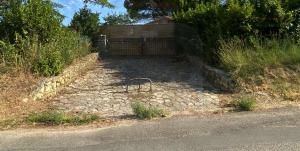 Les OLIVETTES DUZES à Garrigues Sainte Eulalie