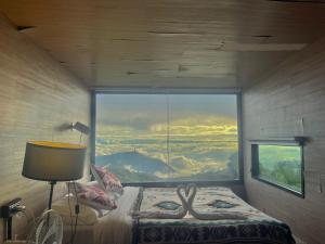 Holiday view ภูทับเบิก
