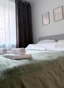 Olive Apartment Częstochowa Centrum 2-bedroom