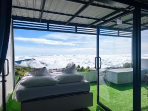 Holiday view ภูทับเบิก