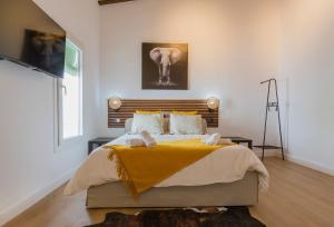 Lofts Calle Sol